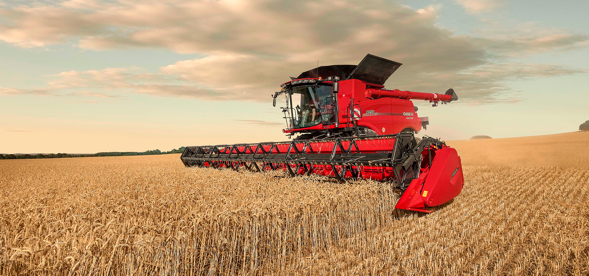 AGRICOLA CALVO, S.L.