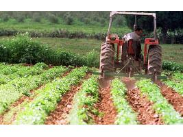 Europa levanta un poco la presión al campo y reduce a la mitad la cantidad a reducir de las ayudas de la PAC de este año