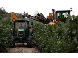  Unas cosechas en verde más rentables que otras: En CLM se paga a 1.938 €/ha; en zonas de CyL, a 4.700 €/ha; en Badajoz a 748 €/ha