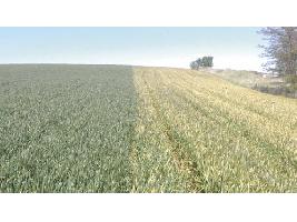 El Ministerio rebajará en 700 euros el coste de las pólizas agrícolas
