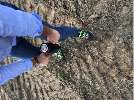 Las pruebas en el campo hablan claro: suelo protegido con Alliance A389 VF-Imp