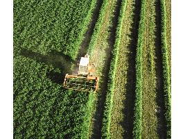 El Gobierno incrementa en 19,88 millones de euros el gasto en seguros agrarios