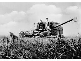 50 aniversario de la CLAAS DOMINATOR, un icono entre las cosechadoras desde hace medio siglo 