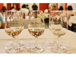 50 vinos optan a mejor albariño del año