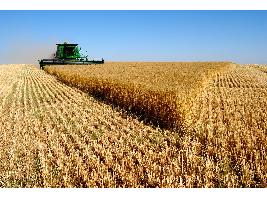 Abonados 6.718 millones de euros de las ayudas de la Política Agraria Común de la campaña 2019