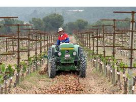 ¿Agricultor genuino o agricultor pluriactivo?: Se abre un debate en el que está en juego el futuro de los pequeños agricultores