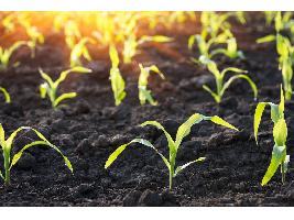 Agricultores españoles y lusos piden retribución por reducir huella de carbono: “Quien contamina tiene que pagar; y quien descontamina tiene que cobrar”