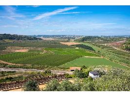 Agricultores y ganaderos perciben una pequeña paga al situarse el coeficiente definitvo del Pago Verde por encima del provisional