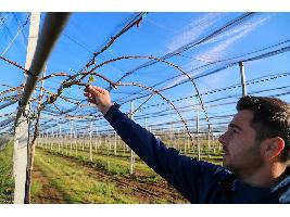 Agroexpo abordará el futuro del sector primario en una mesa temática sobre la importancia del relevo generacional en la agricultura y la ganadería.