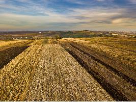 Agroseguro supera los 400 millones en indemnizaciones abonadas a productores de cultivos herbáceos por los siniestros causados por la sequía