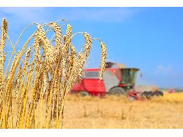 Al final la realidad se impone: Las solicitudes de la PAC incluyen eco-regímenes hasta en el 80% de la superficie