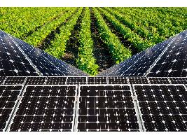 ALAS presenta su Alianza por la Agricultura Sostenible y el Manifiesto por la Agrociencia en el Parlamento Europeo
