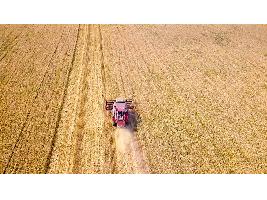 Ampliado el plazo para solicitar ayudas destinadas a la obtención de avales de SAECA para el sector agrario y pesquero