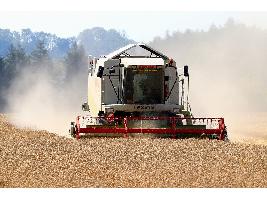 Amplían el plazo para solicitar las ayudas a las explotaciones e industrias agrarias afectadas por la Covid-19.