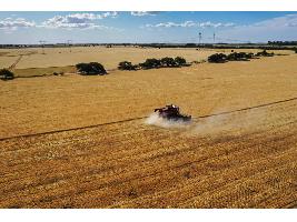 Andalucía abonará la subvención del seguro agrario en el momento de la contratación de la póliza de campaña