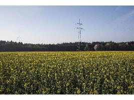 Andalucía convoca ayudas por 82 millones de euros para la industria agroalimentaria