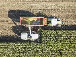 Andalucía destina en una sola convocatoria 91 millones de euros a la incorporación al campo de más de mil nuevos productores