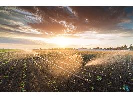Autorizan a Agricultura el gasto para las ayudas a la mejora de infraestructuras de riego por 6,5 millones