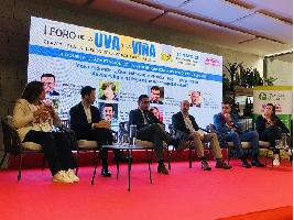 Avanzando hacia el futuro: el prometedor horizonte de la viticultura gallega
