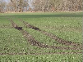 AXION TERRA TRAC, tractor clave para la fertilización primaveral