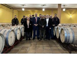 Castilla-La Mancha cierra la última campaña con una producción definitiva de vino y mosto de 17,5 millones de hectólitros