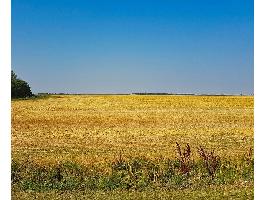 Castilla y León reitera ante el Ministerio de Agricultura que el Agricultor Profesional tiene que ser el protagonista fundamental del Plan Estratégico de la PAC
