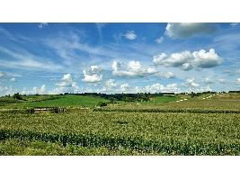 Castilla y León transfiere al sector agrario, en dos meses, 875,4 millones de euros en ayudas de la PAC-2021 a 61.678 agricultores y ganaderos