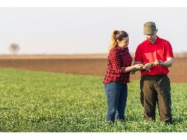 Censo Agrario: Sólo el 4 % de los agricultores y ganaderos tiene menos de 34 años y por debajo de 45 años solo hay un 15%