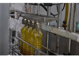 Cooperativas y almazaras de Jaén se unen para molturar la aceituna y abaratar los costes ante la caída de la producción