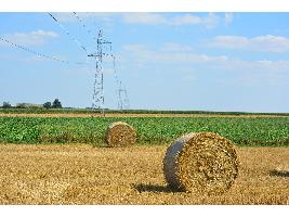 Debate de los ecoesquemas: La propuesta implica que los agricultores deban asumir gastos que el mercado no remunera