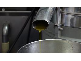 El aceite de oliva consolida su peso en los mercados y cierra la campaña con récord de ventas