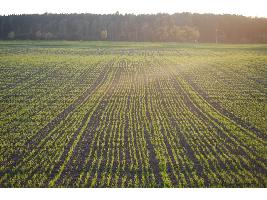 El campo andaluz contará con 135 millones de euros para ayudas agroambientales dentro del PDR durante 2022