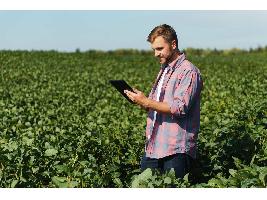 El campo, por delante a la ciudad: Las competencias digitales de los agricultores se sitúan 30 puntos por encima de la media de la población española