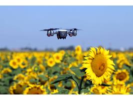 El campo reivindica su potencial digital frente a la pujanza de las ciudades