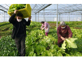 El Gobierno adelanta el desconfinamiento en el campo
