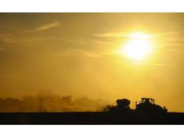 El Gobierno amplía el plazo para la concesión de ayudas al fomento de la competitividad, modernización y bioseguridad del sector agrario