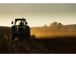 El Gobierno aprueba el Plan de Seguros Agrarios Combinados para 2023, que eleva la línea de ayuda a 317,7 millones de euros
