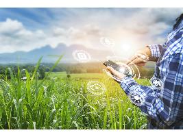 El Gobierno aprueba las normas que regularán la concesión de 75 millones de euros en ayudas a proyectos innovadores en el sector agroalimentario