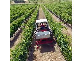 El Gobierno autoriza el pago de 300 millones de euros en ayudas a los agricultores por el incremento del precio de los fertilizantes
