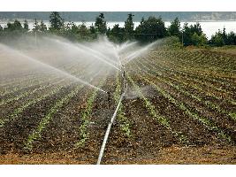 El Gobierno autoriza licitar un nuevo proyecto de modernización de regadíos en el Canal del Páramo (León) por 26,6 millones de euros