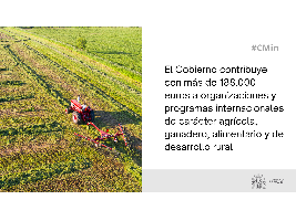 El Gobierno contribuye con más de 188.000 euros a organizaciones y programas internacionales de carácter agrícola, ganadero, alimentario y de desarrollo rural