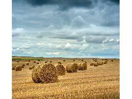 El Gobierno convoca ayudas por 4 millones de euros para el asesoramiento en la tramitación de la nueva PAC a organizaciones agrarias y cooperativas
