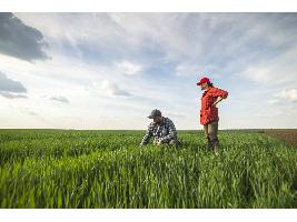 El Gobierno convoca la línea ICO-MAPA-SAECA para facilitar acceso a la financiación a jóvenes agricultores y operadores del sector pesquero por 27 millones de euros