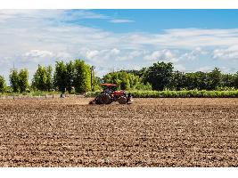 El Gobierno convoca subvenciones destinadas a la obtención de avales de SAECA para el sector agroalimentario