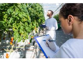 El Gobierno crea un órgano de coordinación interministerial del Sistema de Conocimiento e Innovación en Agricultura
