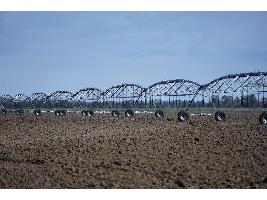El Gobierno destina 30 millones de euros a actuaciones de eficiencia energética en explotaciones agropecuarias.