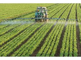 El Gobierno incrementa en 33,47 millones de euros el gasto en seguros agrarios durante el ejercicio 2019
