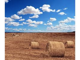 El grupo de expertos por la PAC aboga por unos ecoesquemas simples y accesibles a la mayoría del sector agrario