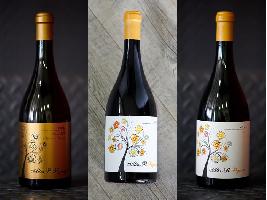 El mercado alemán se fija una vez más en los vinos de Rioja Alavesa