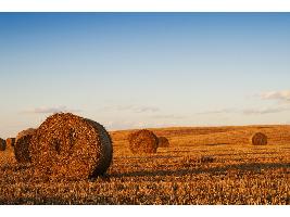 El Ministerio de Agricultura, Pesca y Alimentación y el CSIC colaborarán en el seguimiento y evaluación del Plan Estratégico de la PAC